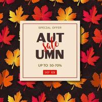 Autumn or Fall sale banner background with colorful maple leaves vector