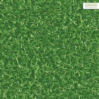 Green lawn grass texture for background. Vector. vector