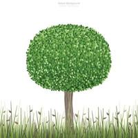 Abstract green tree in green field. vector