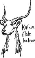 kafue flats lechwe - ilustración vectorial boceto dibujado a mano vector