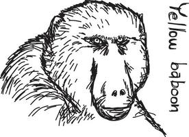 yellow baboon - vector illustration sketch hand drawn