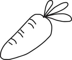 carrot - vector illustration sketch hand drawn