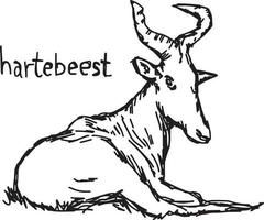 Hartebeest - vector illustration sketch hand drawn