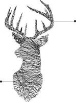 vector illustration continuous line head of deer