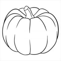 comida vegetariana. calabaza madura. cosecha. Víspera de Todos los Santos. estilo de línea. vector