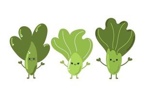 Set of cute Bok choy salad, cabbage, delicious vegetable. vector