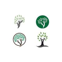 family tree logo vector