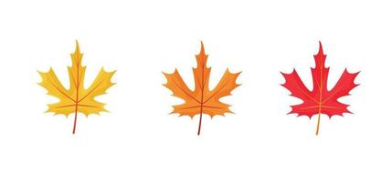 Autumn leaves icons isolated on white background