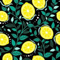 Seamless pattern lemon. Slices of citrus and leaf on black background vector