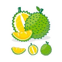 Collection of durian fruits isolated on background vector