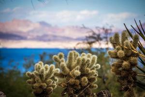 Scenes at Lake Mead, Nevada Arizona stateline photo