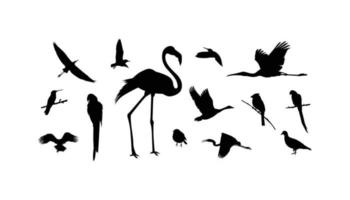 set of vector birds silhouette