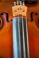 Violin Bridge and strings photo