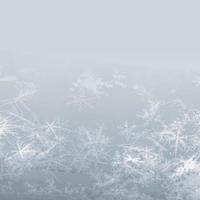 snowflakes close up photo