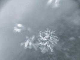 snowflake close up photo