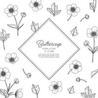 Hand drawn buttercup floral greeting card background. vector