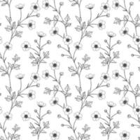 Seamless pattern buttercup floral hand drawn illustration. vector