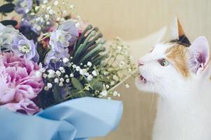 Tricolor domestic cat bites flowers photo