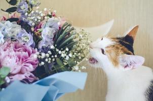 Tricolor domestic cat bites flowers photo
