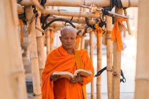 Monks in Thailand are reading books photo