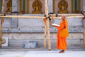 monjes en tailandia están leyendo libros