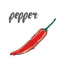 Hot peppers. Red pepper. Vegetables vector. vector