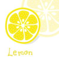 citrus lemon, lime, orange, grapefruit. Vector illustration.