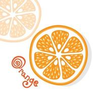 citrus lemon, lime, orange, grapefruit. Vector illustration.