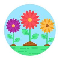 Daisy Flowers and Nature vector