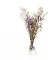 Statice and caspia in glass on white background photo