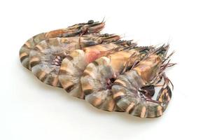 Fresh tiger prawn or shrimp isolated on white background photo