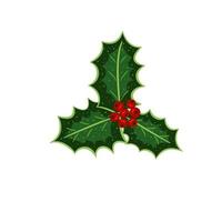 holly leaves, berries, color2 vector