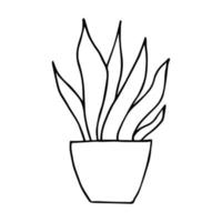 home plants, doodle vector