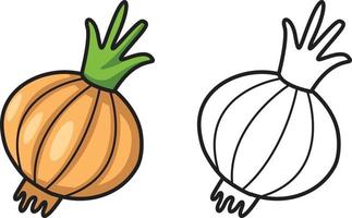 colorful and black and white onion for coloring book vector