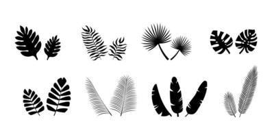 Set of silhouettes of black palm leaves vector