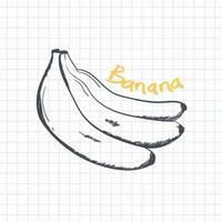 Banana icon in doodle sketch vector