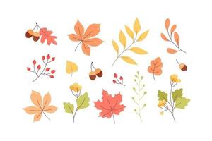 Collection of autumn leaves, twigs and berries in cartoon style vector