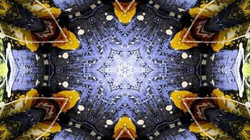 Paint Ink Brush Kaleidoscope photo