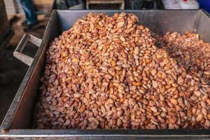 Fresh cocoa beans for fermentation photo