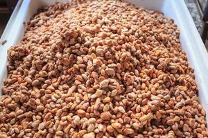 Fresh cocoa beans and Fresh cocoa seed in a bucket to make chocolate photo