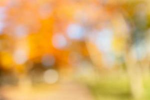 Beautiful out of focus background of a park in Autumn photo