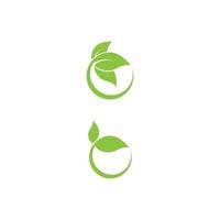 Leaf Logo Template vector symbol nature