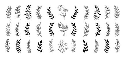 conjunto de elementos florales vintage vector. vector