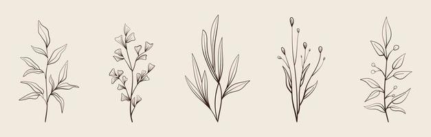 Set of vector vintage floral elements.