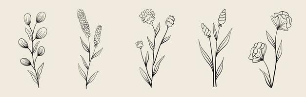 Set of vector vintage floral elements.