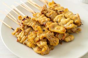 Pork satay with peanut sauce photo