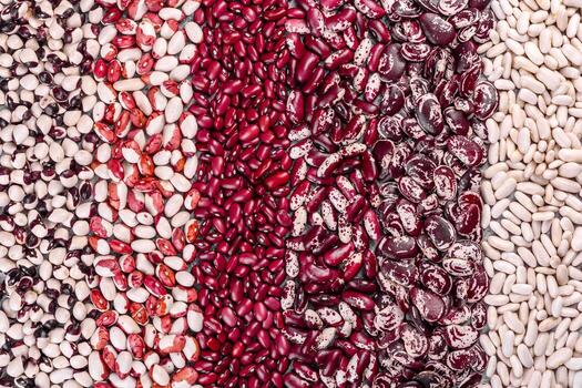 Several types of multicolored beans photo