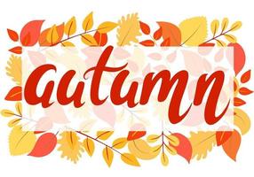 Bright autumn background with leaves and hand lettering vector