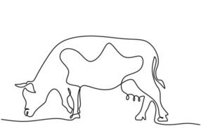 Grazing cow in continuous line art drawing vector