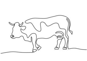 Grazing cow in continuous line art drawing style vector